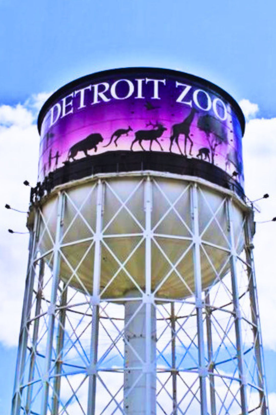 Detroit Zoo All