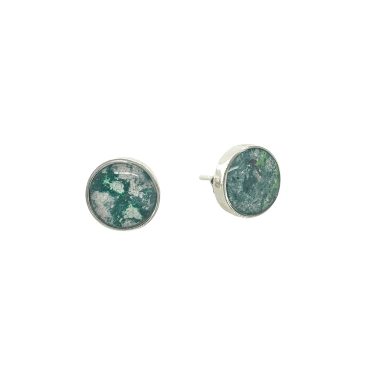 Michigan State Brittany Earrings | Silver