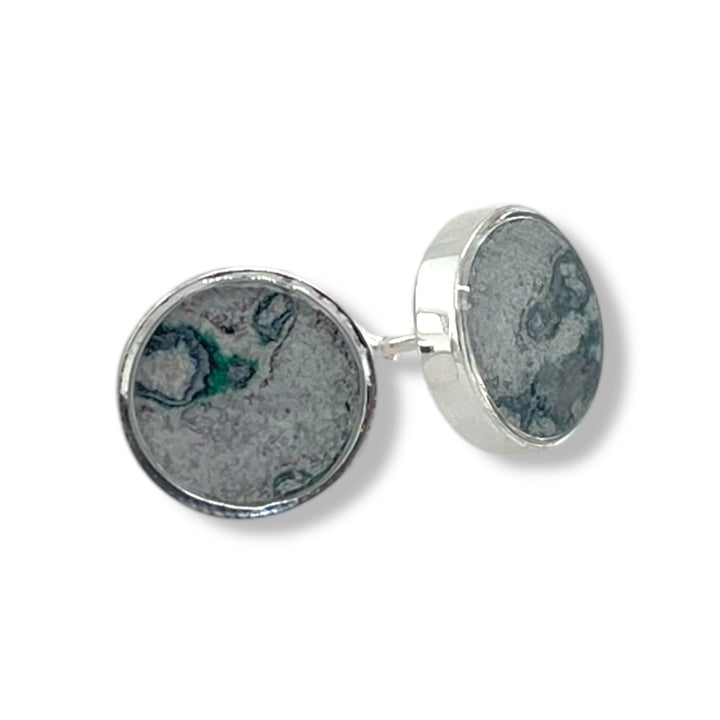 Michigan State Brittany Earrings | Silver