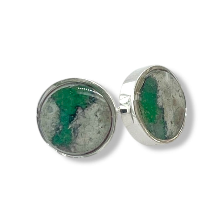 Michigan State Brittany Earrings | Silver