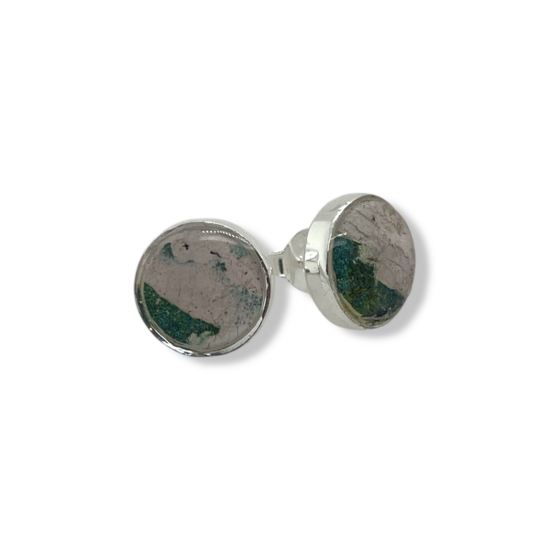 Michigan State Brittany Earrings | Silver