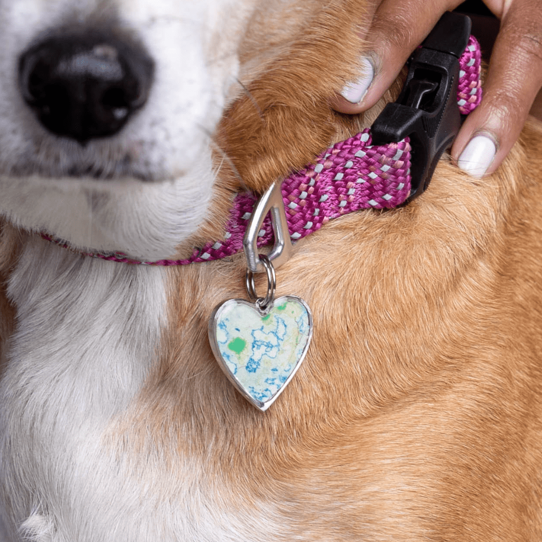 Pet Tag | Stainless Steel | Heart