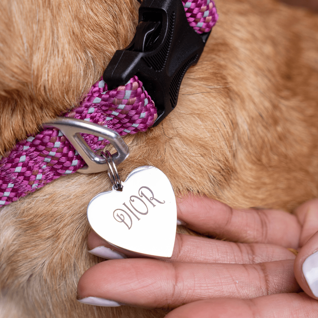 Pet Tag | Stainless Steel | Heart